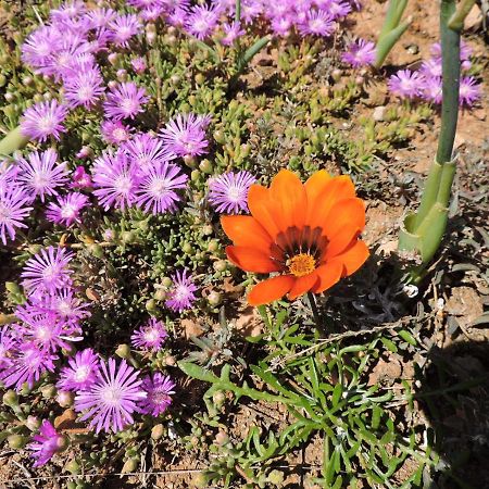 Klaasvoogds Cottages Robertson Esterno foto