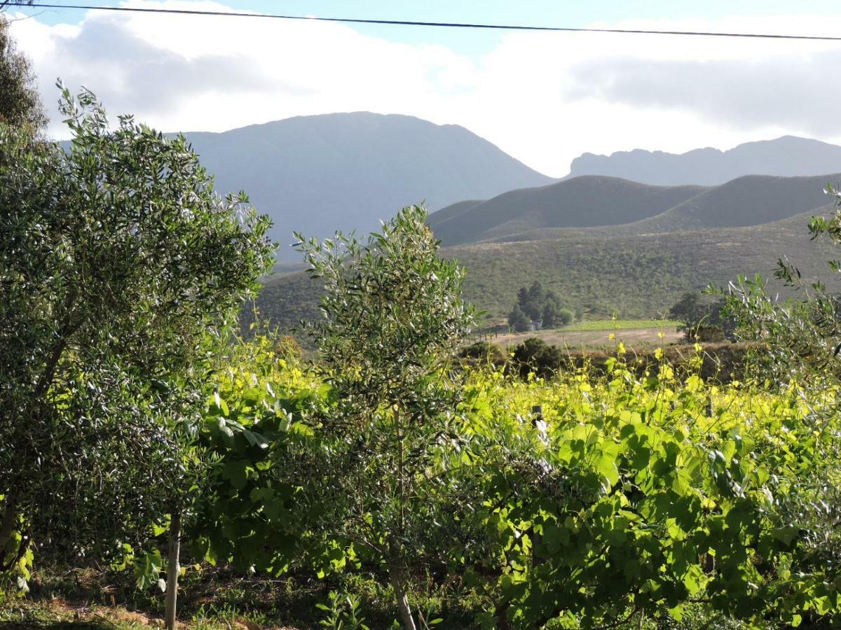 Klaasvoogds Cottages Robertson Esterno foto